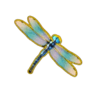 Dragonfly symbol